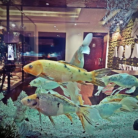 Aquarium Hotel 利雅德 外观 照片