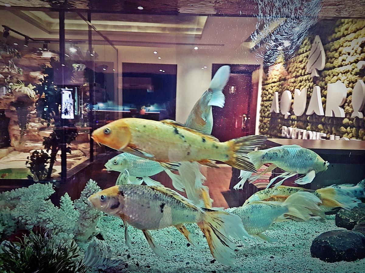Aquarium Hotel 利雅德 外观 照片